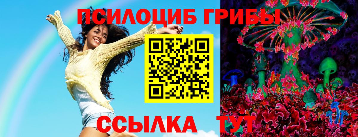 Галлюциногенные грибы Psilocybine cubensis  Псилоцибиновые грибы мухоморы  Электрогорск  купить   Вход с VPN 
